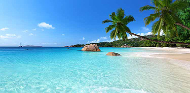 חבילות סיישל חבילות סיישל