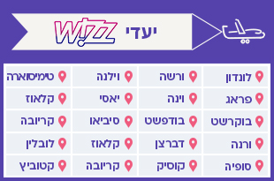 לוגו חברת תעופה